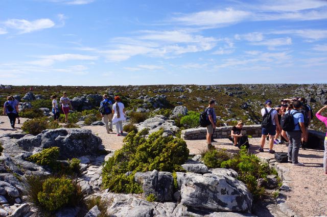 Table Mountain