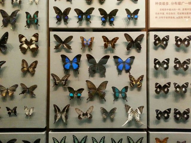 Tianjin Natural History Museum