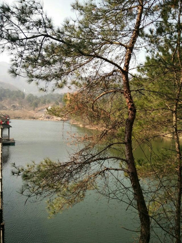 링산