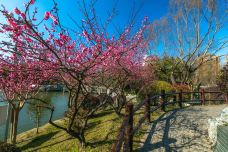 和平公园-上海-doris圈圈