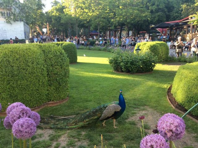 Tivoli Gardens