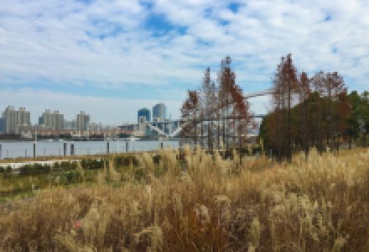 叶榭镇旅游图片-3日魔都之行，寻一个“风韵犹存”的老上海