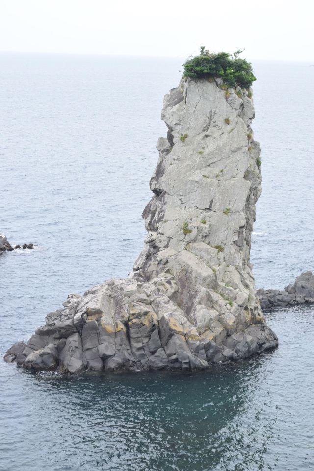 Oedolgae