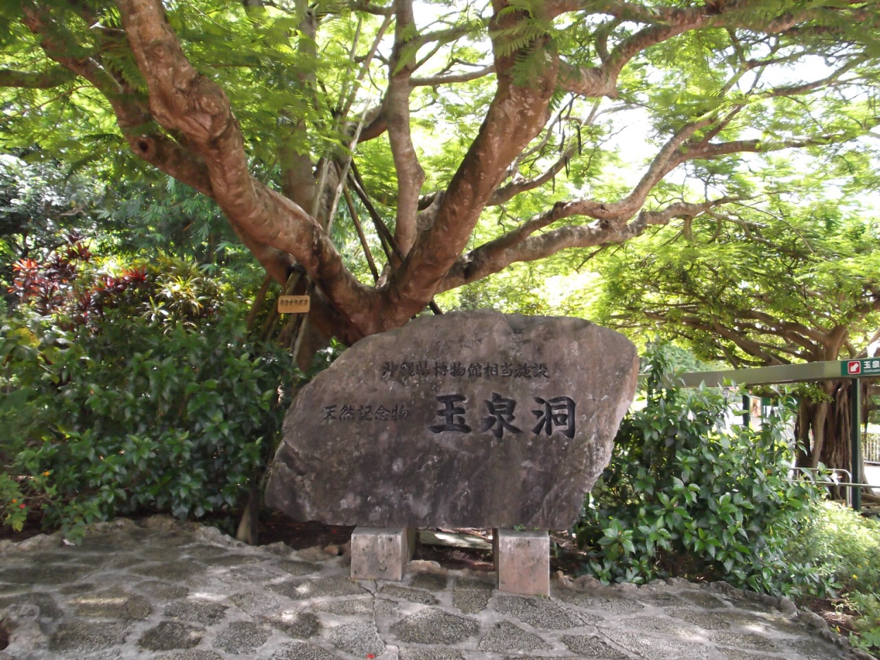 玉泉洞 玉泉洞，喀斯特岩溶地貌洞穴，在冲绳岛算是比较稀有的景观。 洞穴外面，通过园林化设计，完全是一