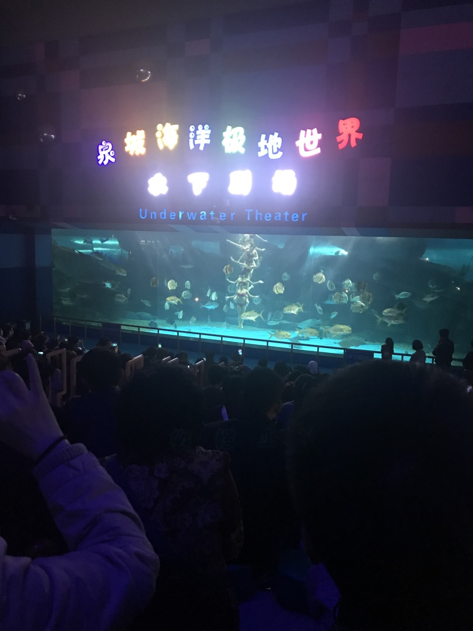 海洋极地世界