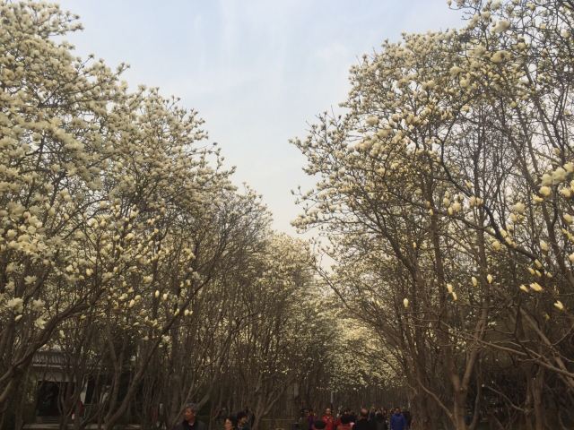 Baihua Park