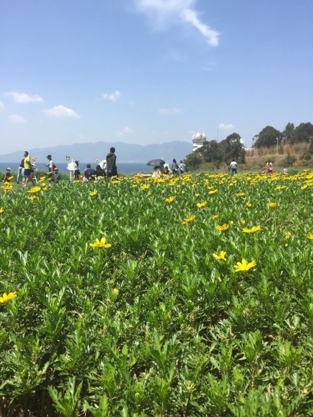 Fuxian Lake Scenic Area