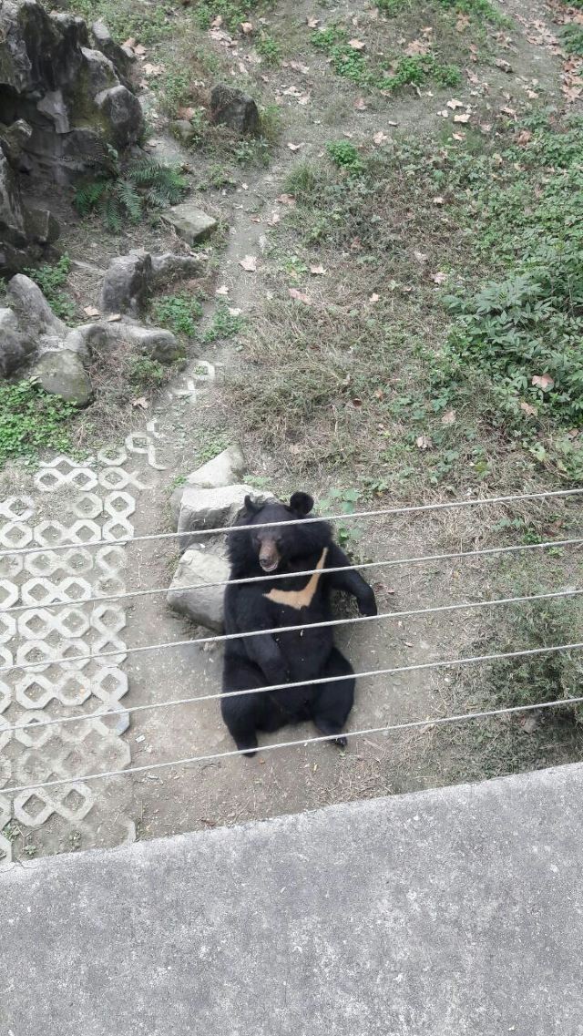成都動物園