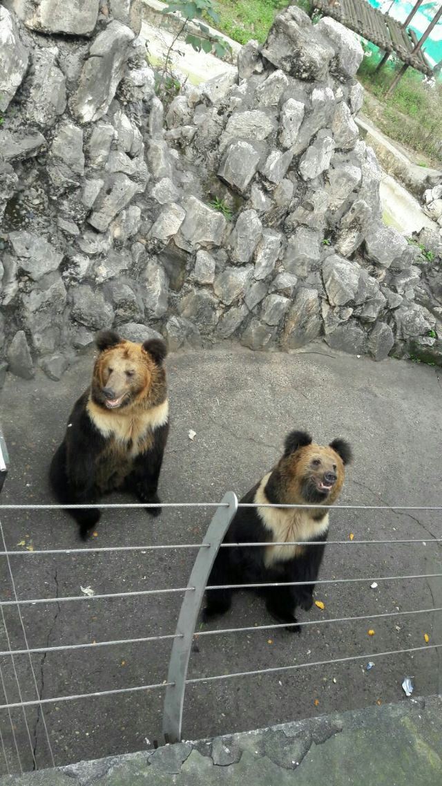 成都動物園
