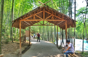 芜湖游记图文-芜湖这座江滨小城，让你“粽”享完美假期