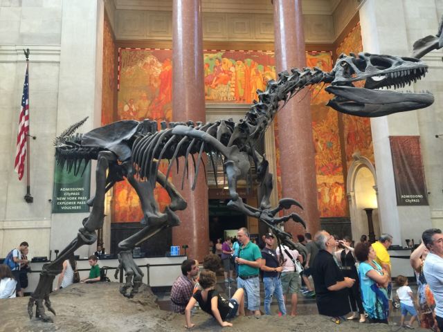 American Museum of Natural History