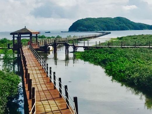 海陵岛红树林国家湿地公园