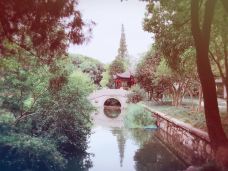 曾园赵园-常熟-YoYo_8F7A4K1J