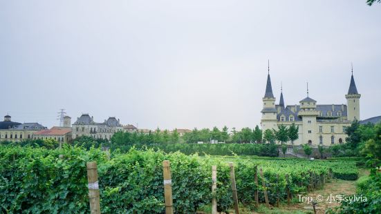 Beijing Chateau Changyu Afip Global
