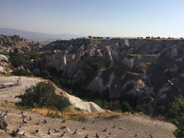 Pigeon Valley