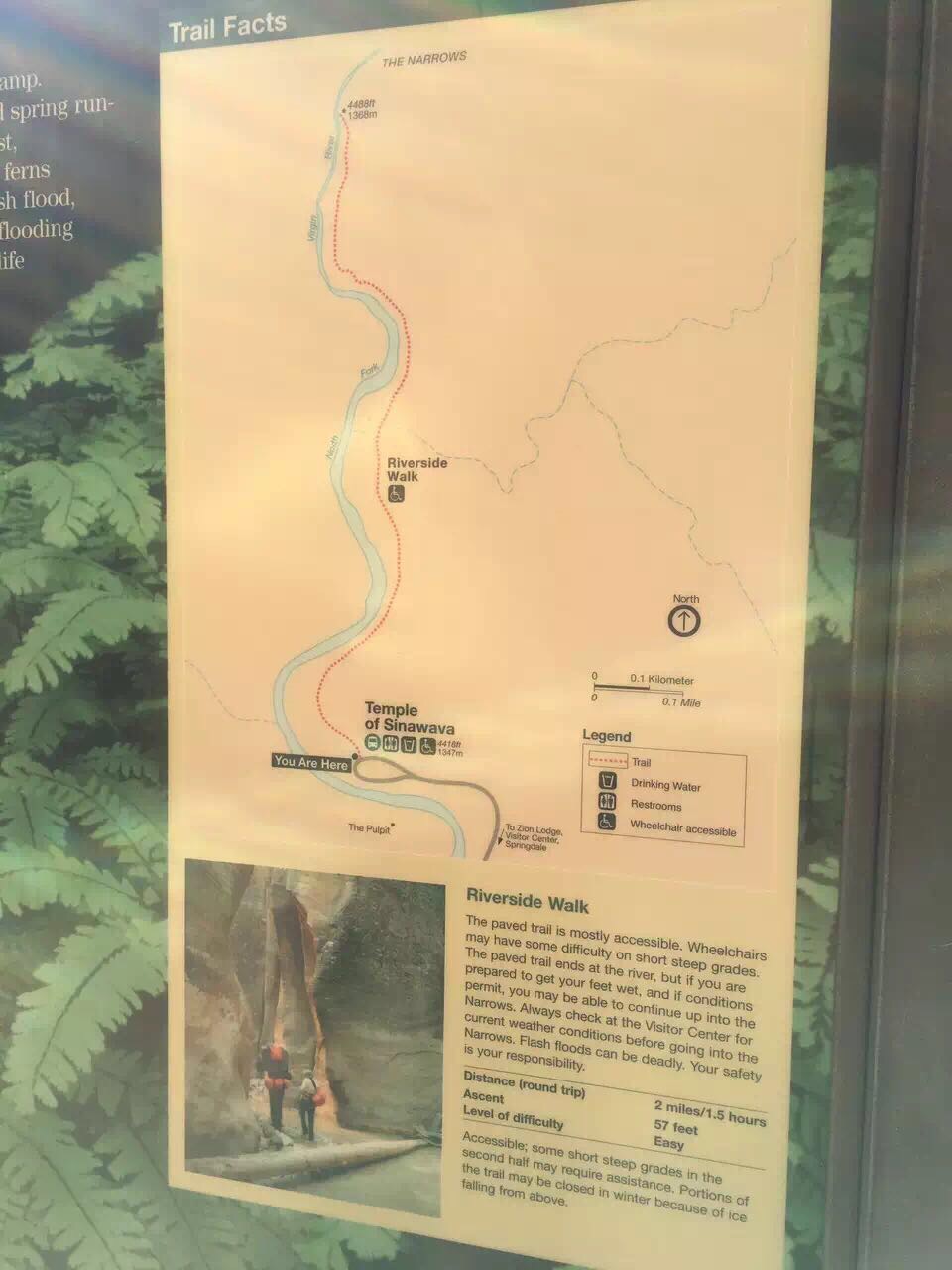 锡安国家公园