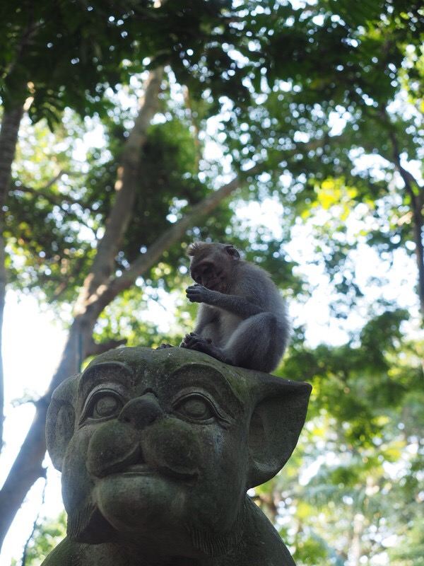 Ubud Monkey Forest