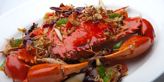 珍珠轩餐厅图片