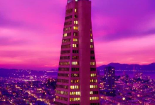 紫燕百味鸡(向阳店)美食图片