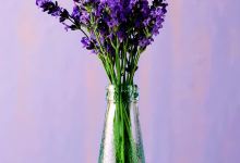 良品铺子(盛世东方店)购物图片