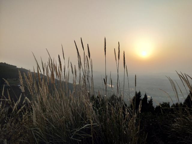 七曲山大廟