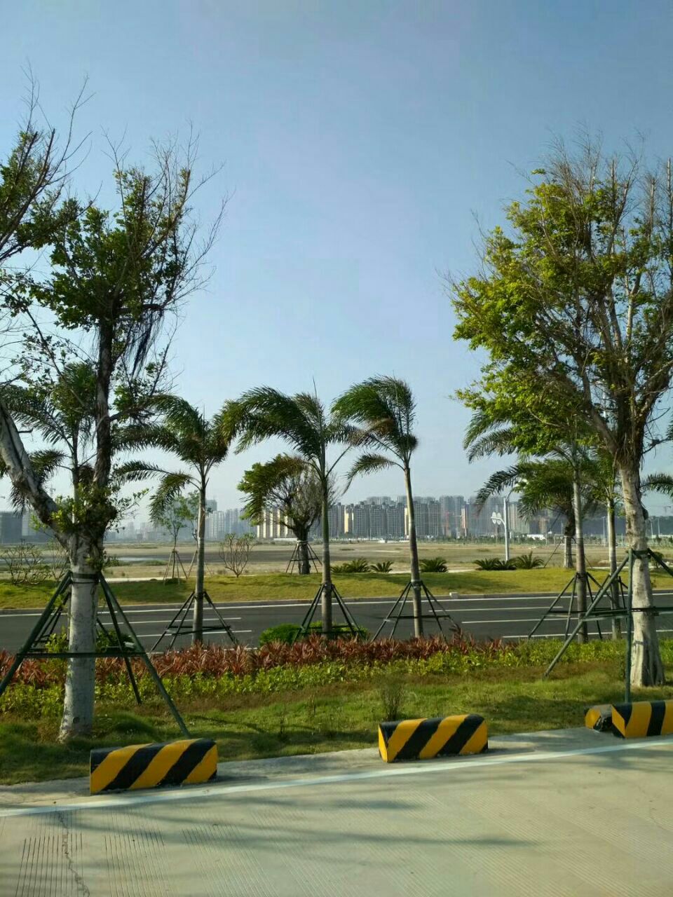 东海岸