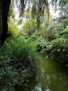 莲花池公园-昆明-清秋一色