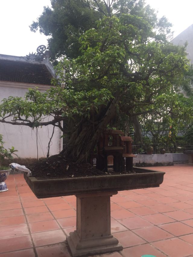 한기둥 사원