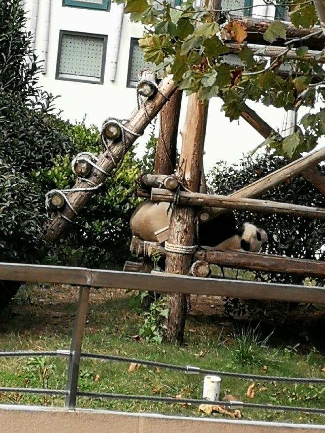 칭다오(청도) 동물원