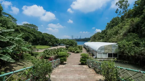 水濂山森林公園-蝴蝶谷