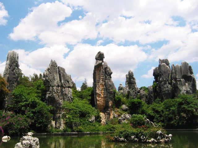 Stone Forest