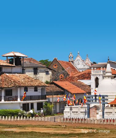 8D7N • Sri Lanka+Dambulla + Colombo + Elephant Orphanage + Sigiriya Lion Rock + Temple of the Sacred Tooth Relic + Dambulla Cave Temple + Yala National Park