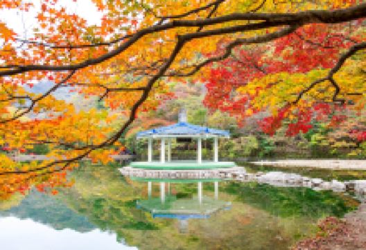 宝城郡旅游图片-领略不一样的韩国乡土风情，全州2日游