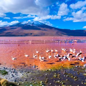 Uyuni