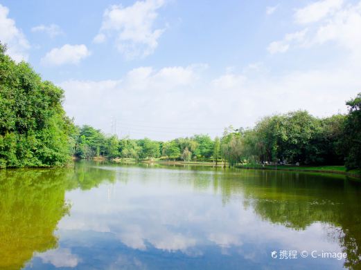 龙头山森林公园