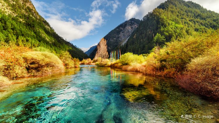 6-Day Small Group Sichuan Tour·Pandas, Jiuzhaigou & Huanglong with Butler Service, Free Day in Chengdu | 5-Star Hotels