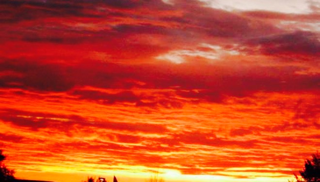 McDonald's餐厅图片