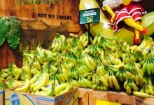 Stew Leonard's美食图片