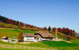 Bergwirtschaft Bremgarten
