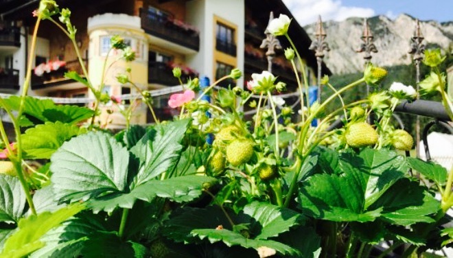 Sonnenhofs Gourmetstube