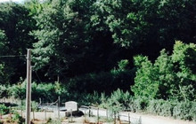 Agriturismo Le Ferriere餐厅图片