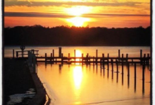 Restaurant O美食图片