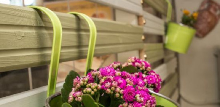 Tavernaki Tou Gamprou