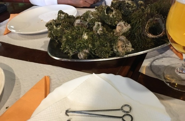 Vila Miseria Restaurant餐厅图片