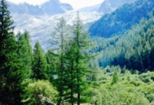 Buvette du Glacier du Trient美食图片