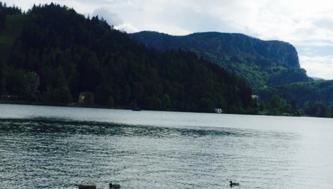 Vila Prešeren Bled餐厅图片