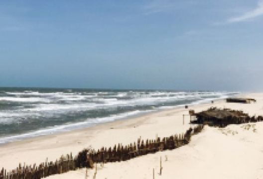 Restaurante Cabana do Peixe美食图片