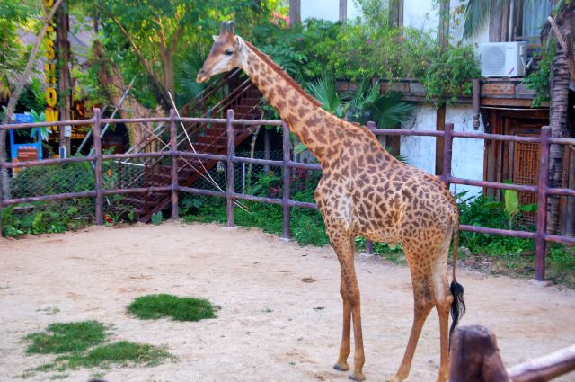 Sanya Romance Park