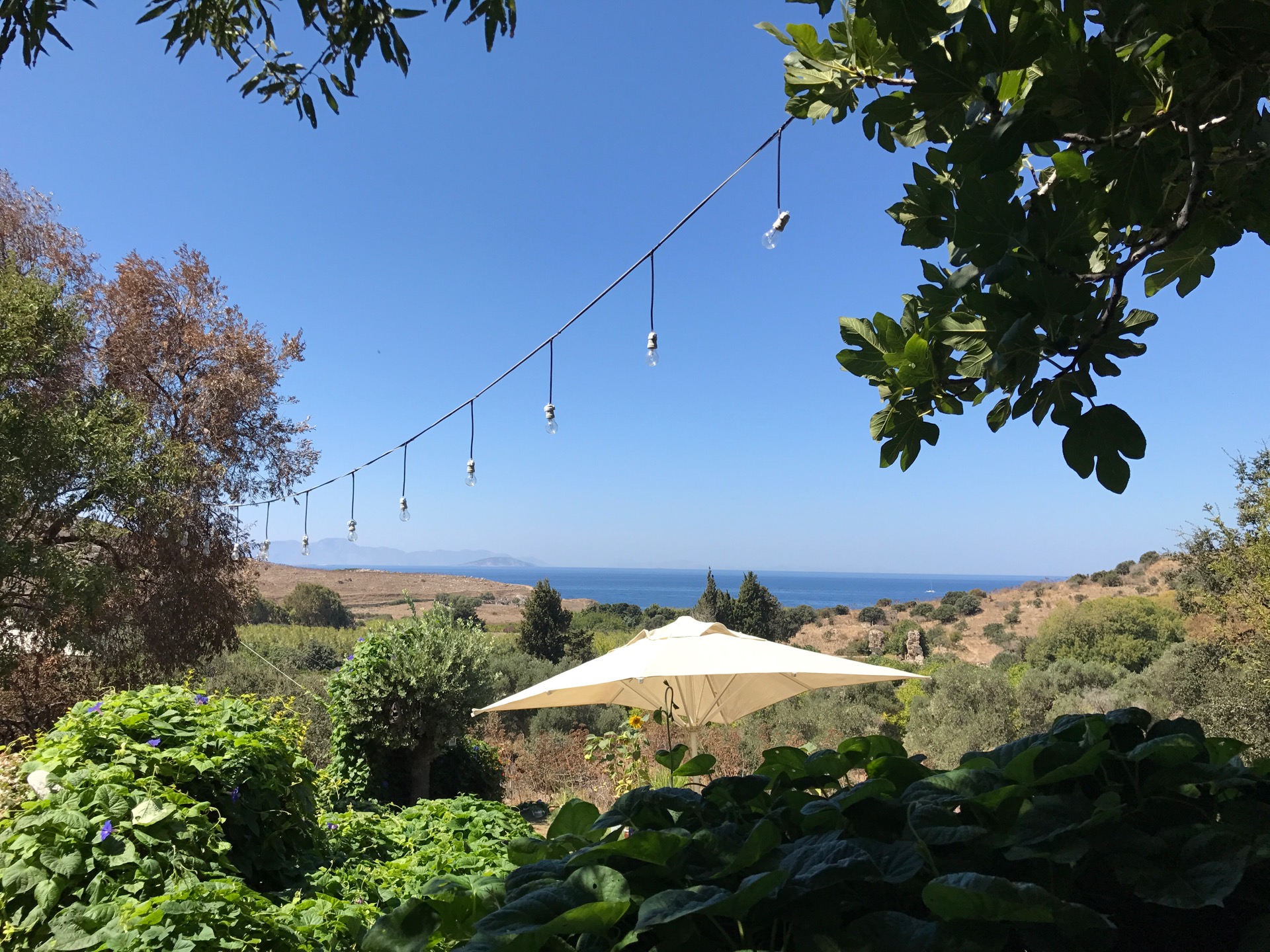 Limon Gumusluk餐厅图片