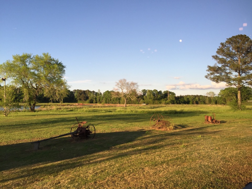 Catfish House餐厅图片